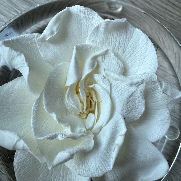Elegant White Flower Decor by Venus Et Fleur - Picture 4 of 7